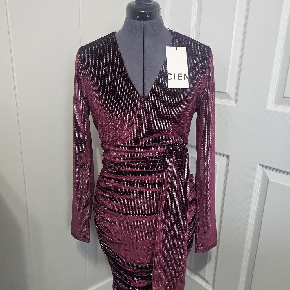 Chic Long Sleeve Burgundy Dress